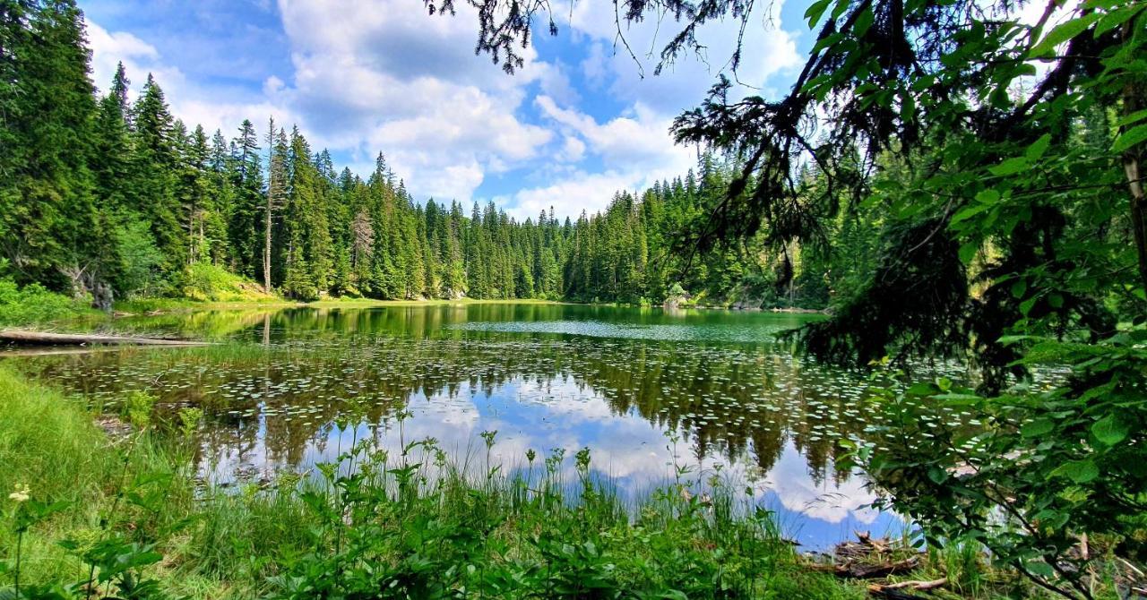 Hedonist Village Žabljak Buitenkant foto