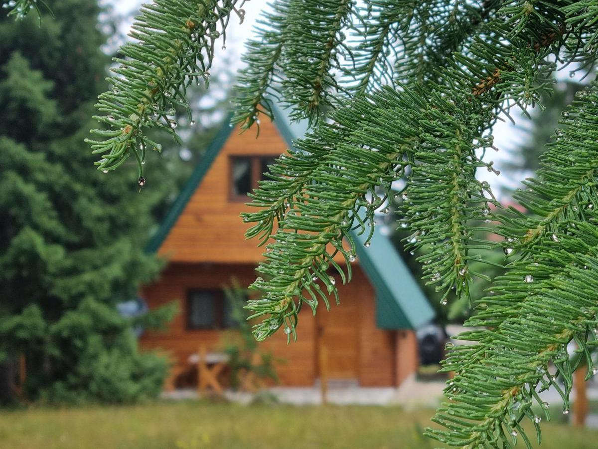 Hedonist Village Žabljak Buitenkant foto